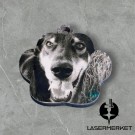 Navneskilt hund spesial thumbnail